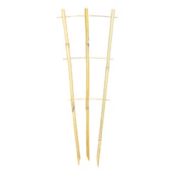 Bamboo Plant Trainer 45cm