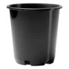 70mmØ Slimline Pot -Plant Supply Store 70mm squat herb pot tl 1 15562.1680233513