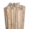 Bamboo Stakes 300cm -Plant Supply Store Bamboo Stakes 300cm 24 26mm 27990.1639695801
