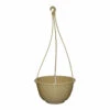 Grecian Hanging Basket Complete 2 Grecian Hanging Basket Complete -Plant Supply Store Grecian Hanging Basket Complete 200mm Beige 67636.1639695700