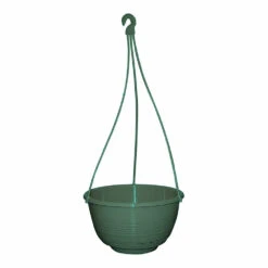 Grecian Hanging Basket Complete -Plant Supply Store Grecian Hanging Basket Complete 250mm Jade Green 44516.1649645106