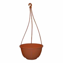 Grecian Hanging Basket Complete -Plant Supply Store Grecian Hanging Basket Complete 250mm Rustic 11913.1649645107