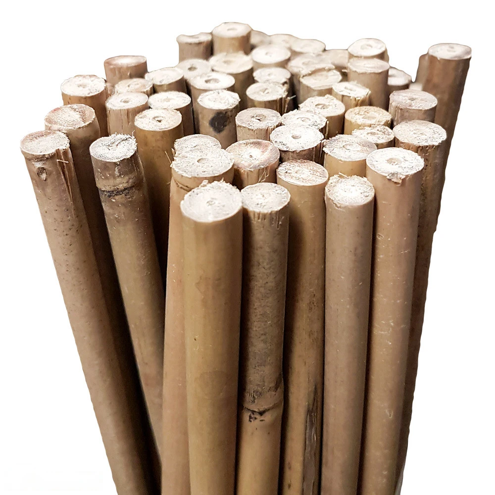 Bamboo Stakes 105cm 3 Bamboo Stakes 105cm