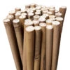 Bamboo Stakes 75cm -Plant Supply Store Growrite Natural Bamboo 10 12mm 51239.1639695799