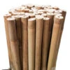 Bamboo Stakes 180cm -Plant Supply Store Growrite Natural Bamboo 12 14mm 04653.1639695800