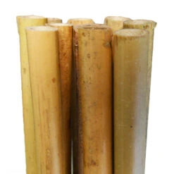 Bamboo Stakes 120cm -Plant Supply Store Growrite Natural Bamboo 14 16mm 31505.1649645226