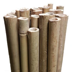 Bamboo Stakes 180cm -Plant Supply Store Growrite Natural Bamboo 16 18mm 05514.1649645225