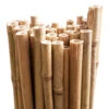 Bamboo Stakes 240cm 1 Bamboo Stakes 240cm -Plant Supply Store Growrite Natural Bamboo 20 22mm 21153.1639695800