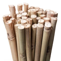 Bamboo Stakes 105cm 5 Bamboo Stakes 105cm -Plant Supply Store Growrite Natural Bamboo 8 10mm 55057.1649645227