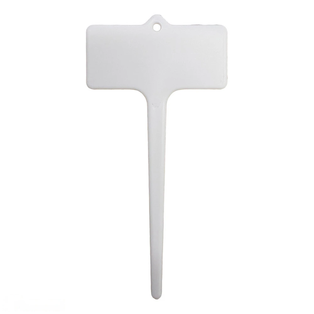 Label B2 T Label 3 Label B2 T Label