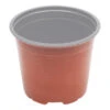 120mmØ Modiform Pot 2 120mmØ Modiform Pot -Plant Supply Store Modiform Pot 12cm Regular 12cm x 10cm 770mL 30581.1662952171