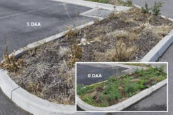 Weed Terminator & Soil Conditioner -Plant Supply Store Open Spaces Before After 1 23656.1658712994