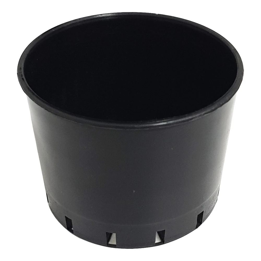 Orchid Pot 70mmØ X 50mm 3 Orchid Pot 70mmØ X 50mm