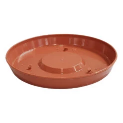 Saucer For 180mm Orient Pot -Plant Supply Store Orient Saucer only Rustic 14377.1649644978