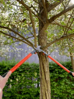 Bahco P16-60-F Professional 30mm Bypass Loppers With Steel Handle -Plant Supply Store P16 60 F Professional 30mm Bypass Loppers with Steel Handle 3 71749.1707205050