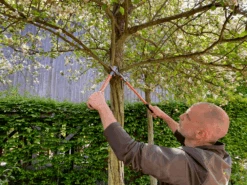 Bahco P16-60-F Professional 30mm Bypass Loppers With Steel Handle -Plant Supply Store P16 60 F Professional 30mm Bypass Loppers with Steel Handle 4 14666.1707205330