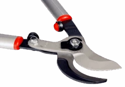 Bahco P280-SL-80 Professional 55mm Bypass Loppers With Long Lightweight Aluminium Handle -Plant Supply Store P280 SL 80 Professional 55mm Bypass Loppers with Long Lightweight Aluminium Handle 2 34331.1707204881