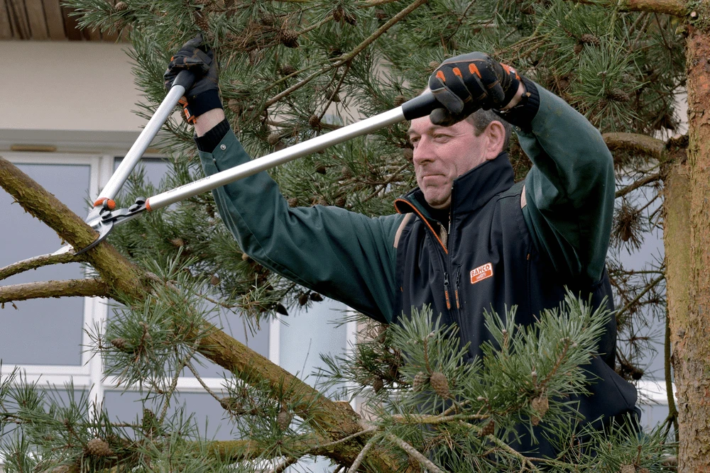 Bahco P280-SL-80 Professional 55mm Bypass Loppers With Long Lightweight Aluminium Handle - Image 2