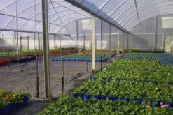 Solarweave Reinforced Plastic Film -Plant Supply Store Solarweave 1 33190.1663712300