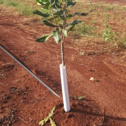 SpringWrap Tree Trunk Guard 300mm