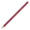 Stabilo 8008 Aquarellable Pencil -Plant Supply Store Stabilo 8008 Aquarellable Pencil Black 81424.1639695718