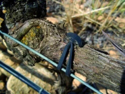 Agrifast Rubberties -Plant Supply Store agrifast rubber tie hook 1 37663.1689228320