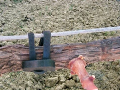 Agrifast Rubberties -Plant Supply Store agrifast rubber tie hook 2 00096.1689228320