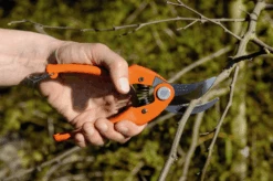 Bahco P126-19-F 15mm Bypass Secateurs With Stamped/Pressed Steel Handle -Plant Supply Store bahco p126 19 f steel handle bypass secateur 2 88378.1707180351