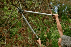 Bahco P173-SL-85 Professional 45mm Anvil Loppers With Lever Action And Aluminium Handle -Plant Supply Store bahco p173 sl loppers 4 81463.1707202738