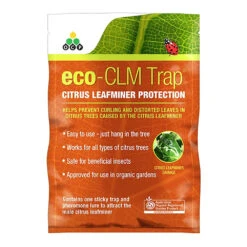 Eco CLM Citrus Leaf Miner Trap+Lure -Plant Supply Store eco clm trap 77513.1654239291