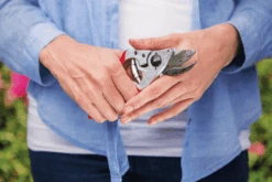 Felco 14 Secateurs -Plant Supply Store felco 14 1 15240.1683527873