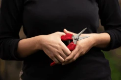 Felco 310 Narrow-Nose Snips -Plant Supply Store felco 310 41696.1683354095