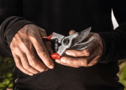 Felco 4 Secateurs 5 Felco 4 Secateurs -Plant Supply Store felco 4 88427.1683352926