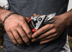 Felco 8 Secateurs -Plant Supply Store felco 8 82993.1683350503