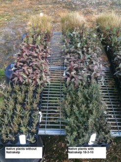 Natrakelp 18-3-10 -Plant Supply Store native 18 3 10 97906.1662942632