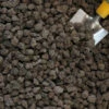 Quincan Gravel 1 Quincan Gravel -Plant Supply Store quincan gravel 79921.1656040751