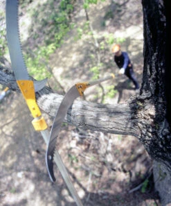 Silky Hayate Pole Saw Complete - Extendable -Plant Supply Store silky hayate 3 56178.1684377373