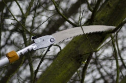 Silky 3.6m Longboy Folding Pole Saw - Extendable -Plant Supply Store silky longboy 3 6m pole say 365 36 3 42720.1684377408