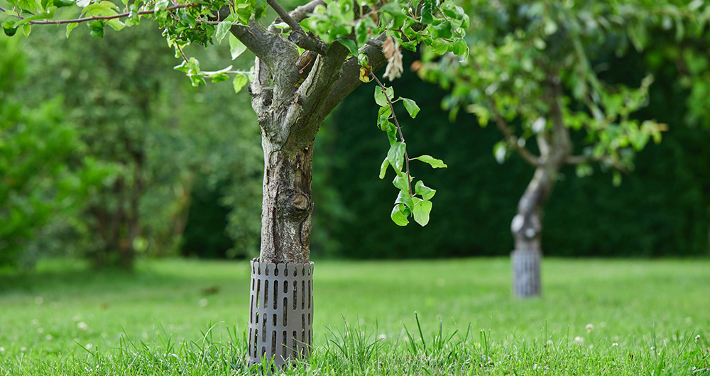 Plant Supply Store -Plant Supply Store 1